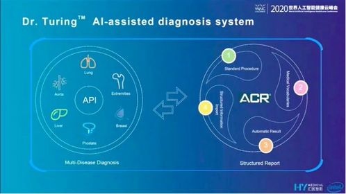 ai医疗的中国力量迎来全球化的爆发期——对话汇医慧影联合创始人郭娜